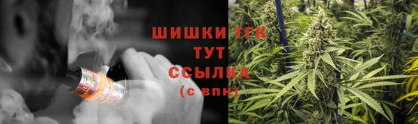 мдма Заводоуковск