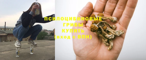 мдма Заводоуковск