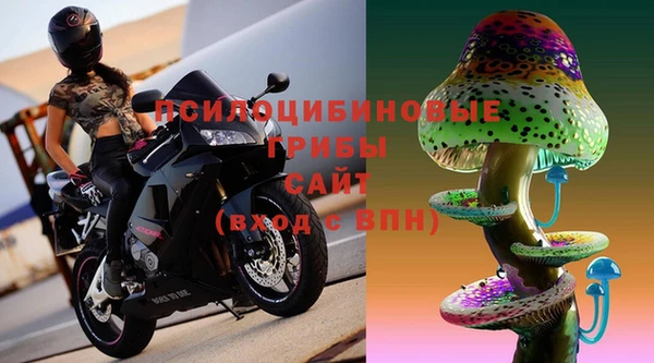 apvp Заволжск