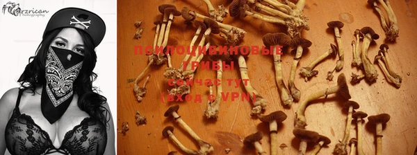 кристаллы Заволжье