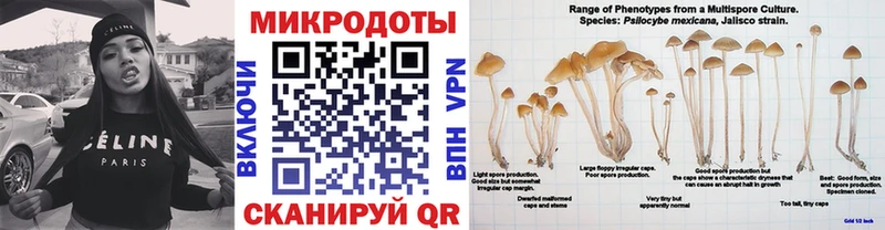 Галлюциногенные грибы GOLDEN TEACHER  Купить  Старица 